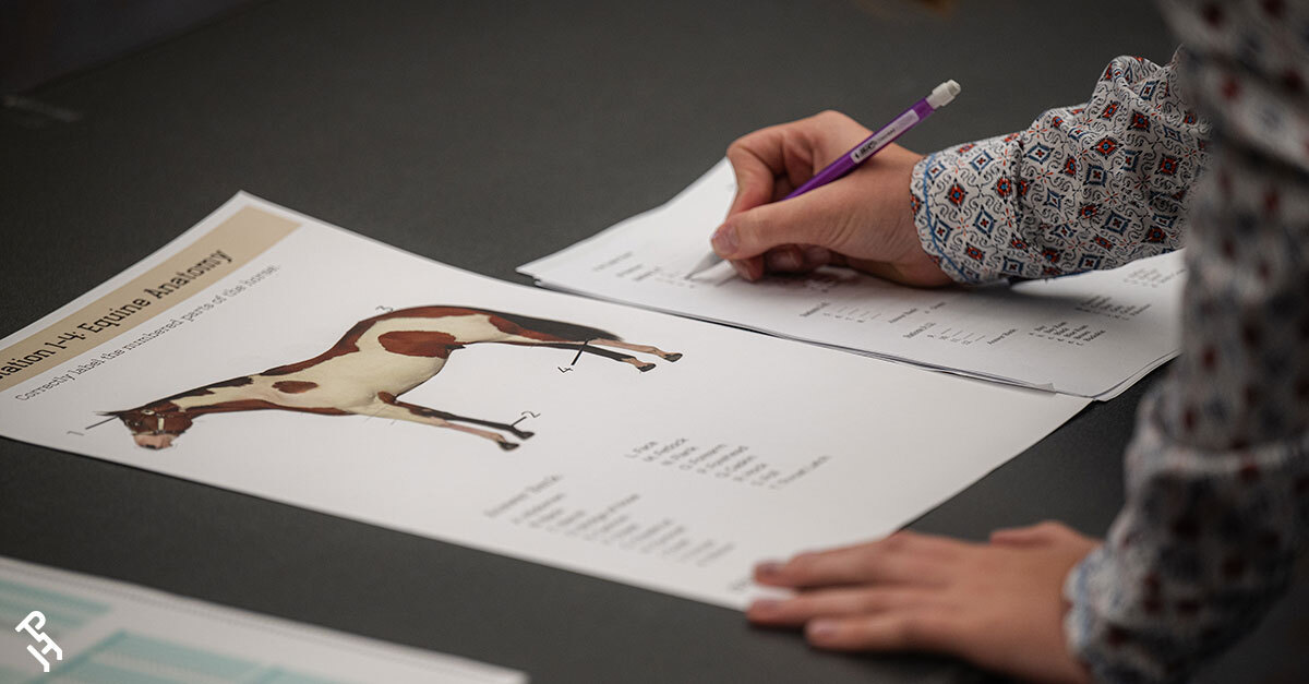 Crowning the 𝗵𝗼𝗿𝘀𝗲𝗜𝗤 𝗛𝗶𝗽𝗽𝗼𝗹𝗼𝗴𝘆 𝗖𝗵𝗮𝗹𝗹𝗲𝗻𝗴𝗲 champions! 👑

First Place -  Emily Allen from Texas
Second Place - Katherine Bormann from Kansas
Third Place - Emmy Creek from North Carolina

🔗bit.ly/horseIQHippolo…

#MarkedForGreatness | #APHA | #PaintHorse