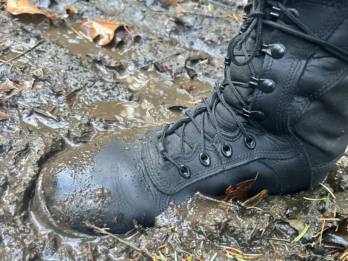 With the cold and wet weather around here, I broke out my insulated Rocky boots. Could use a sub to clean these boots.