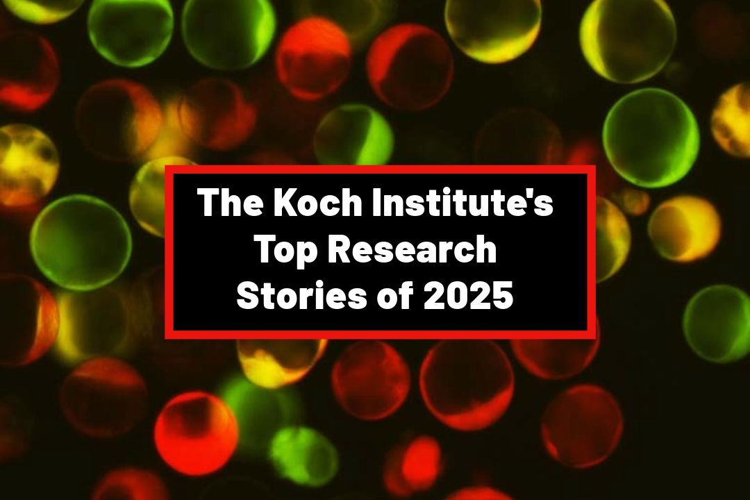 Koch Institute at MIT tweet media