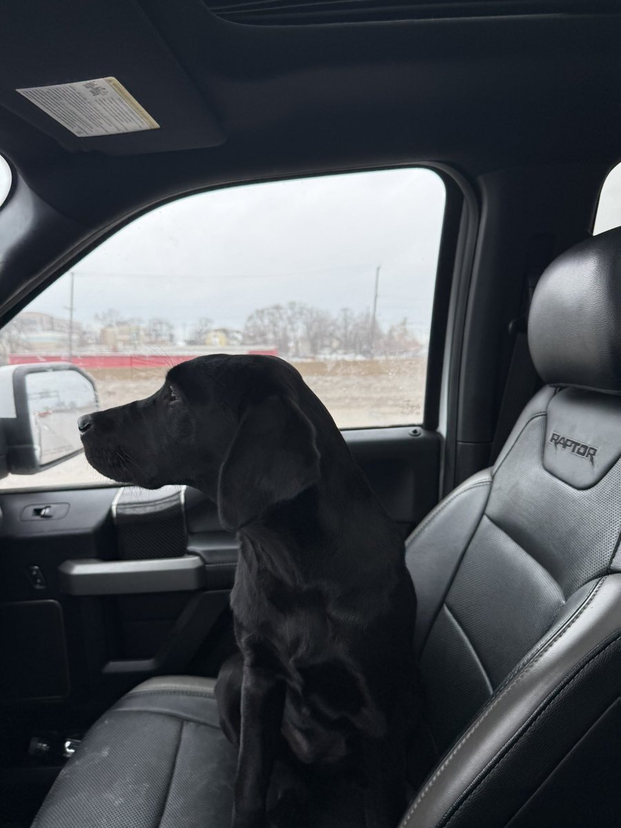 chasethatched's tweet image. Shotgun