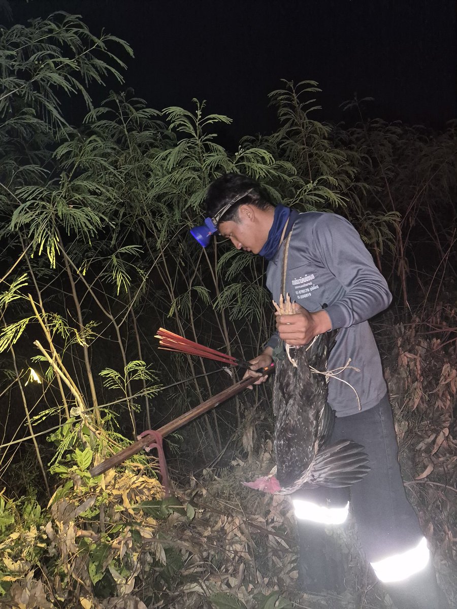 Sามสูร tweet media