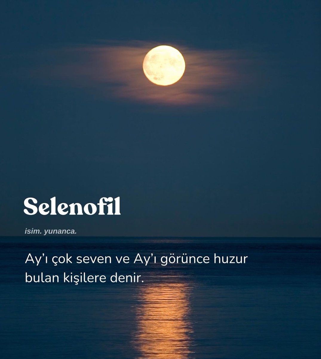 ardiskusu's tweet photo. Selenofil misiniz? https://t.co/NlXQLRajkw