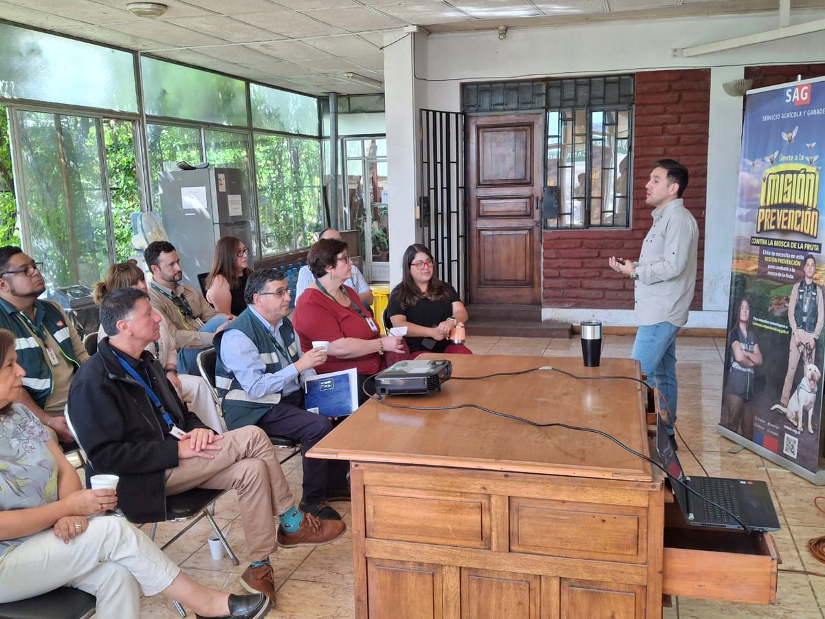 sagchile's tweet photo. Previo al inicio de las cosechas de uva de mesa, el Equipo de Emergencia de @sagchile #Valparaíso controló y erradicó los brotes de Moscas de Fruta en #ElSauce y #LosAndes, recuperando la condición fitosanitaria de la comuna https://t.co/ZVWUGFZw4y