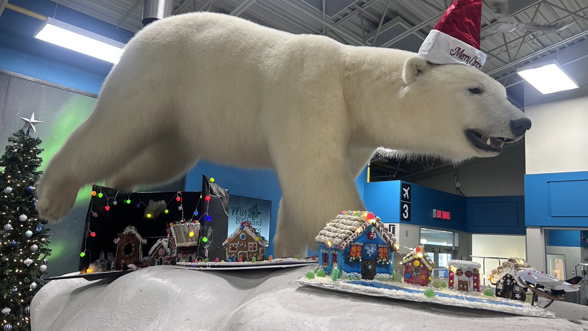 flyyzf's tweet photo. YZF is getting into the Christmas spirit with a festive gingerbread competition! Congrats to Jazz Aviation for taking home the win with incredible details. Big thanks to everyone who joined the fun, and honourable mentions to Canadian North and Scarlet Security! https://t.co/rUsjo8oT7c