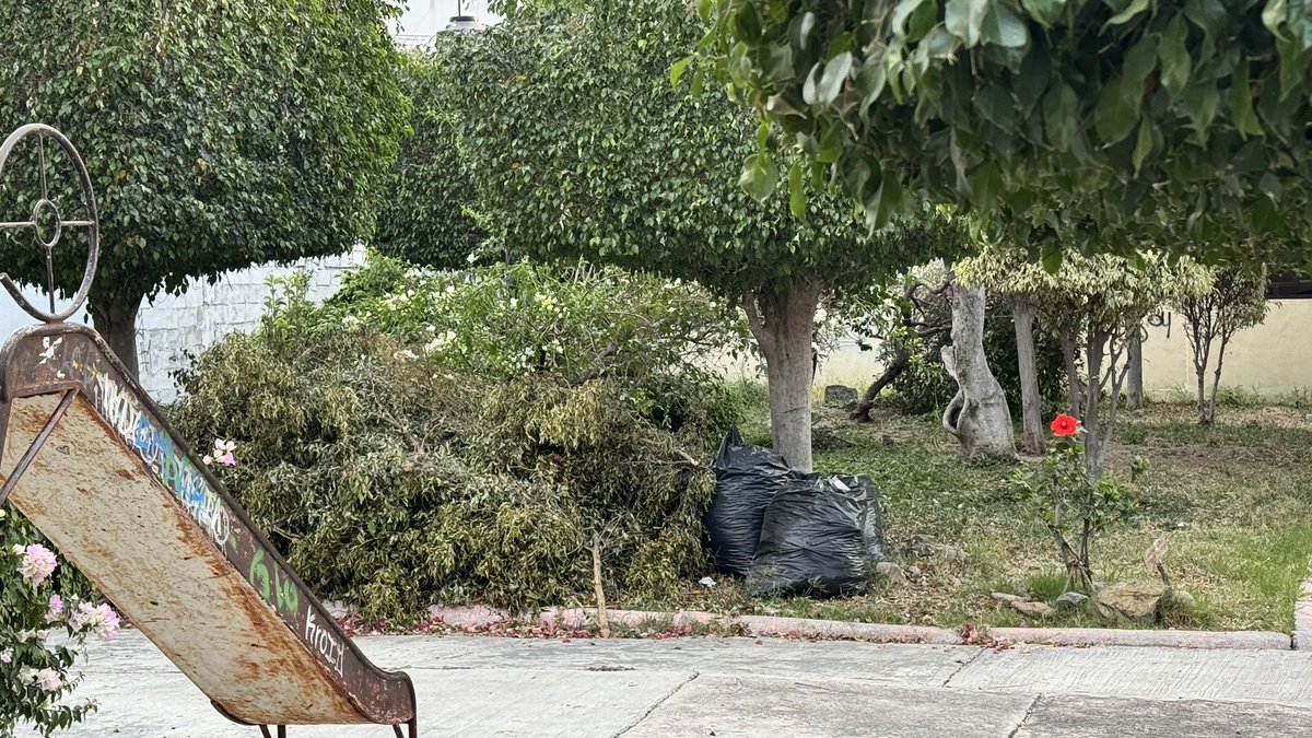 Vecinos_Azteca's tweet photo. @atencionaleon @SIAP_Leon @AleGutierrez_mx Reportan que desde el 9 de diciembre se solicitó el apoyo para la recolección de residuos verdes y el servicio express no ha acudido, esperemos su pronta respuesta, para evitar tragedias 🔥 Calle Zempoala 222 Colonia Azteca https://t.co/x8OmznvKDC