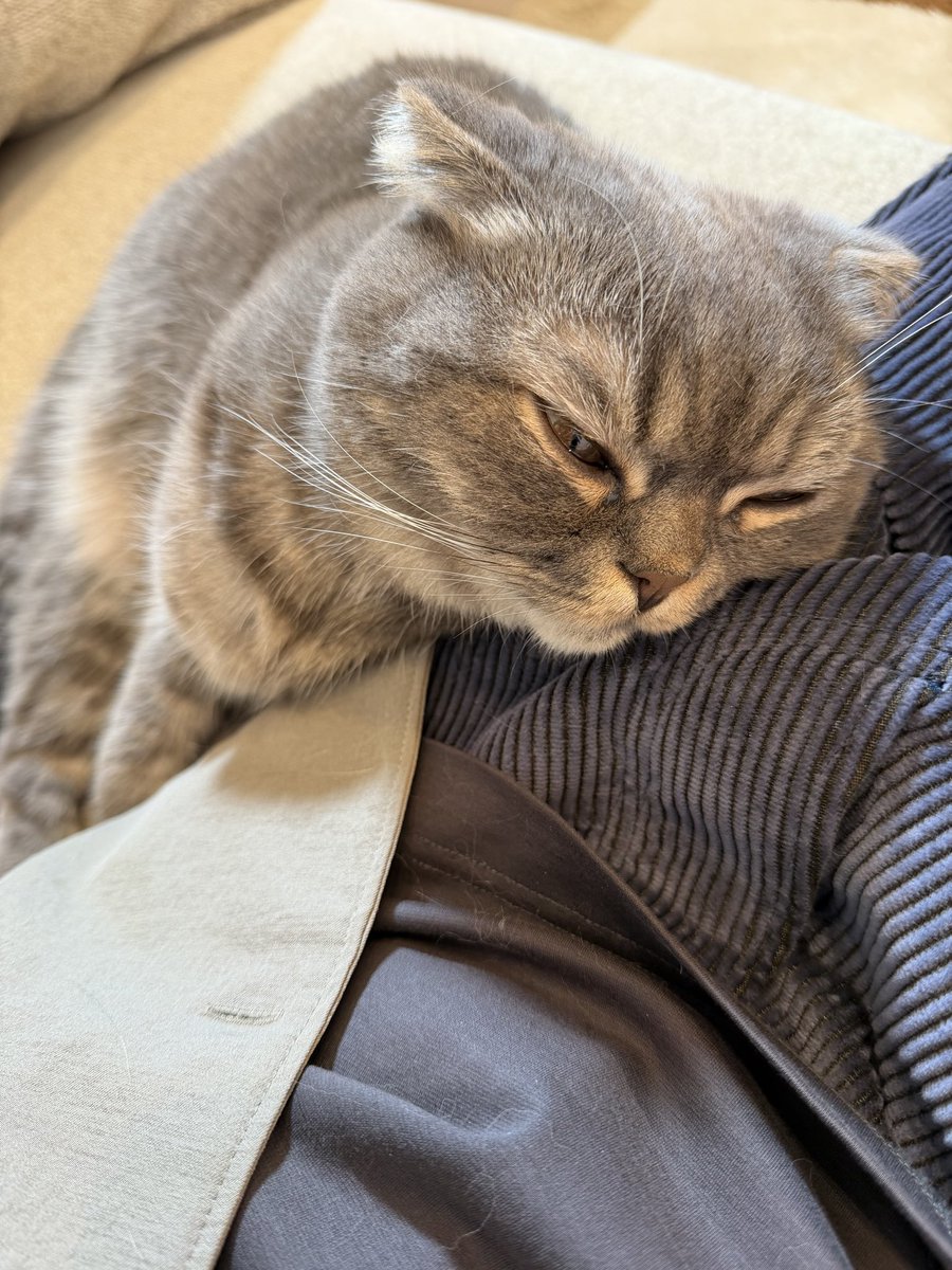 Yuu’s adventures tweet media