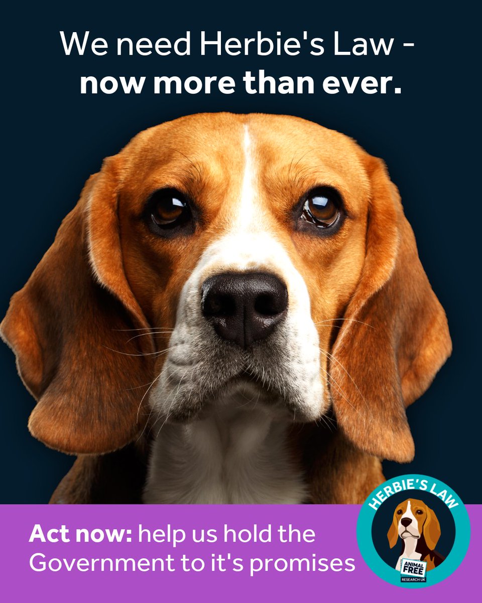 AnimalFreeResearchUK tweet media