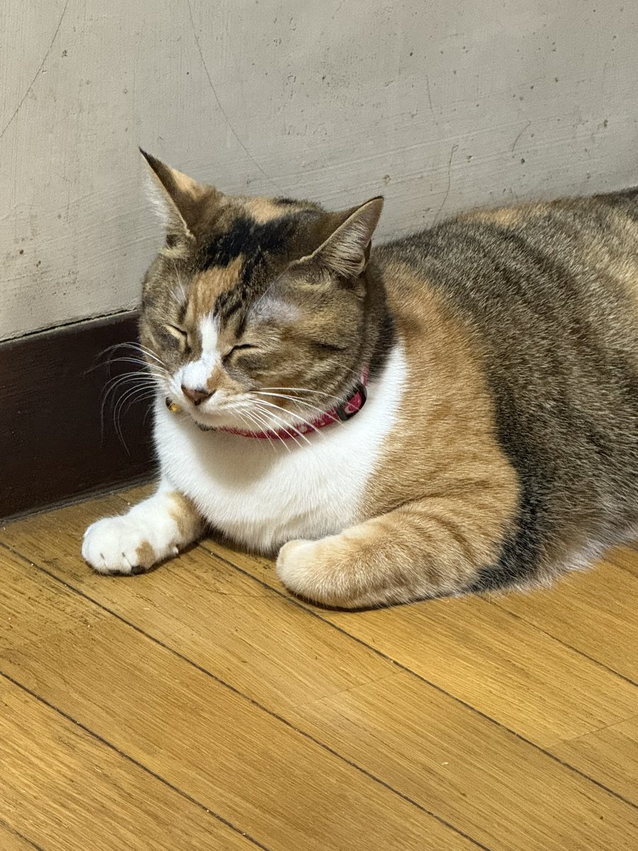 1日遊び尽くした☺️ 友達からお土産ももらってぺろしゃんにも会いに