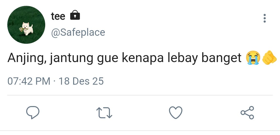 𝓝𝒂𝒄𝒆 tweet media