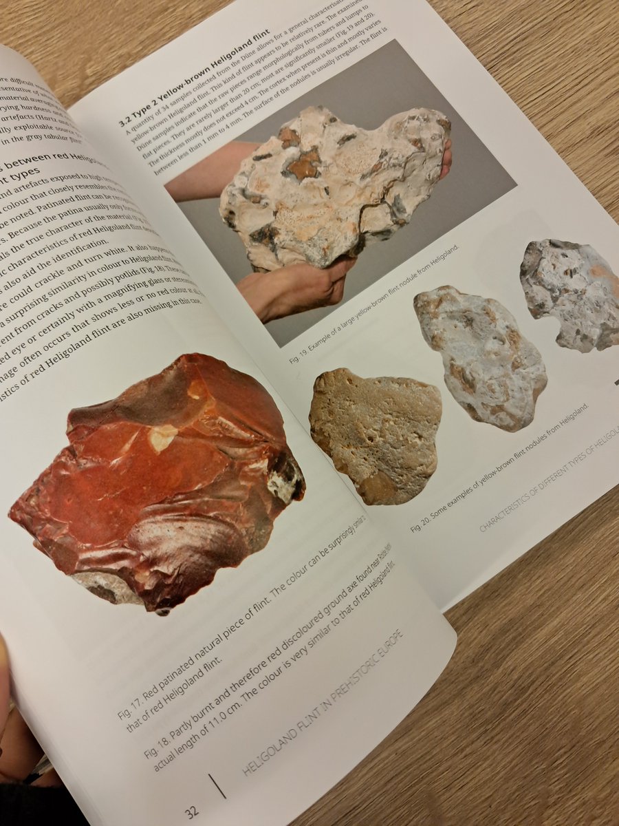 sidestonepress's tweet image. OUT NOW!
Heligoland Flint in Prehistoric Europe. Characteristics, Typology, Distribution, Symbolism and Provenance

📚 Read online for free or purchase your own volume at sidestone.com/books/heligola…

#flint #prehistory #materialculture