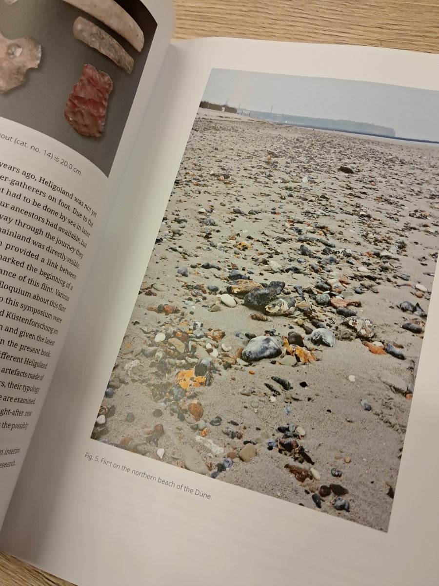 sidestonepress's tweet image. OUT NOW!
Heligoland Flint in Prehistoric Europe. Characteristics, Typology, Distribution, Symbolism and Provenance

📚 Read online for free or purchase your own volume at sidestone.com/books/heligola…

#flint #prehistory #materialculture