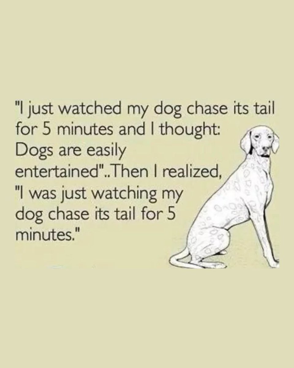 Memedroid's tweet image. We are animals after all #dogs #memes #humans #entertainment #funny