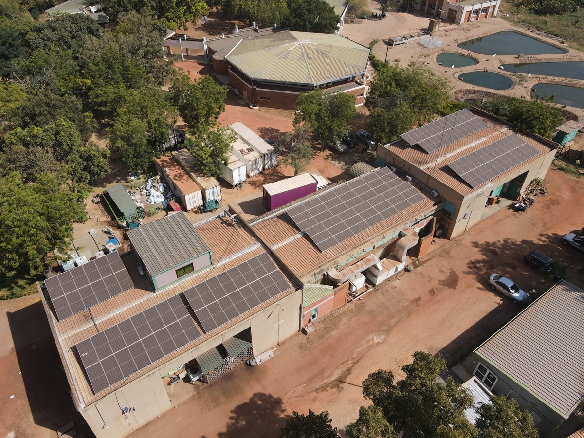 InnoFaso tweet media