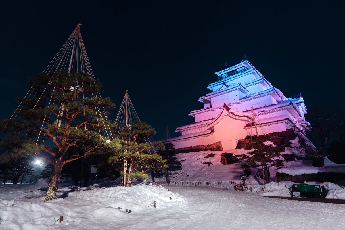 Ichiban Japan tweet media