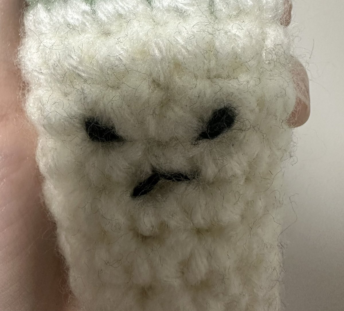 knitopia_ tweet media