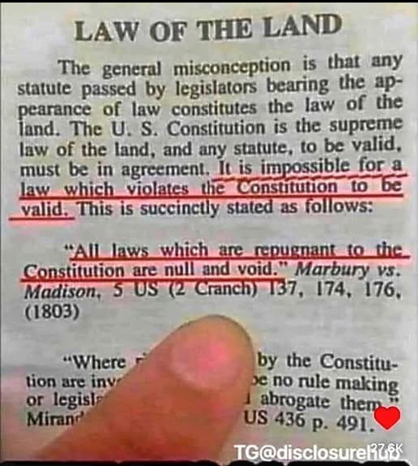 Theg1Seese's tweet image. 