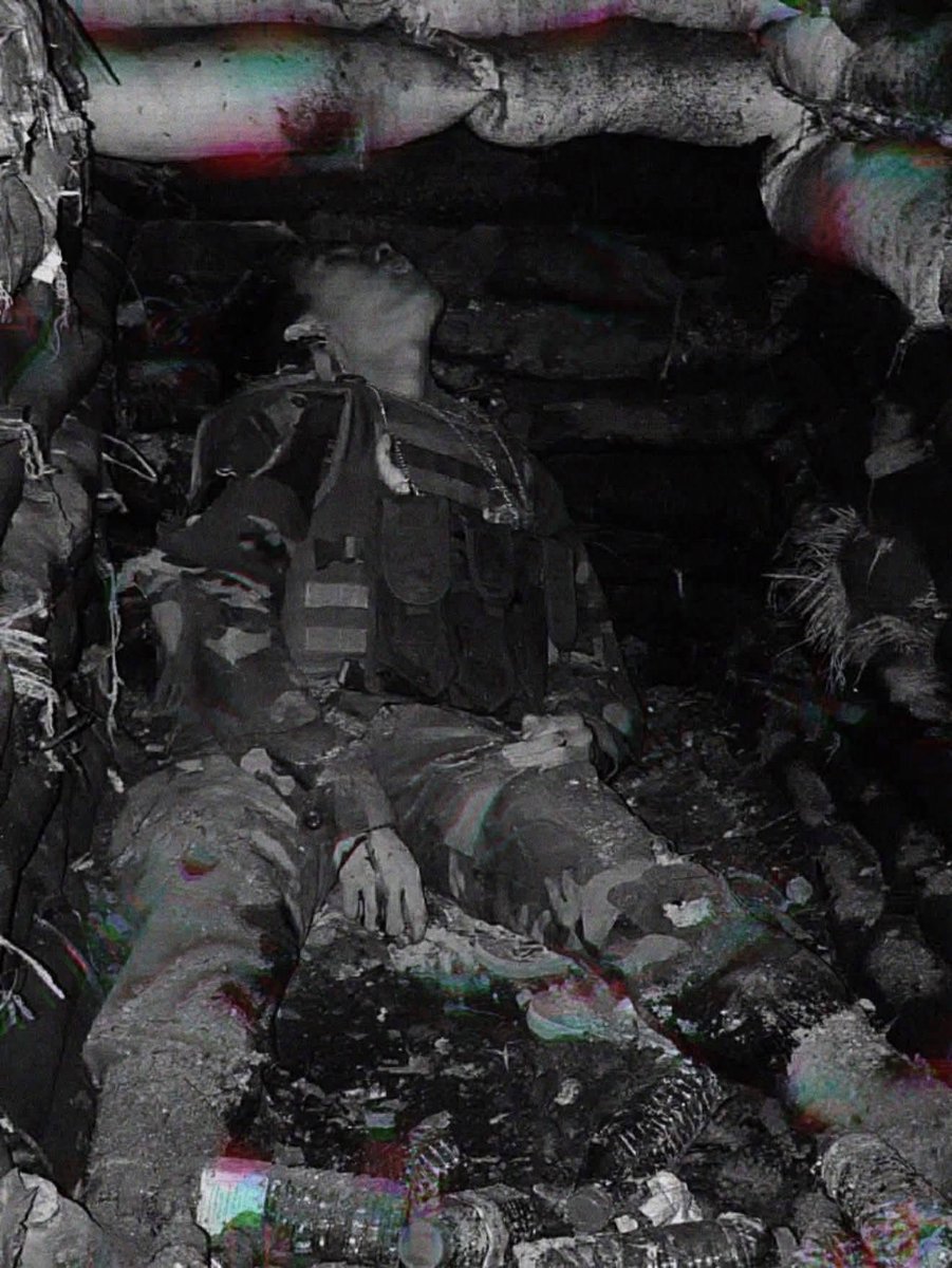 Army Military Force tweet media