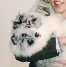 “grandma pick me up, im scared” ahh🤣🤣🤣🤣🤣🤣🤣🤣🤣🤣🤣🤣🤣🤣🤣🤣🤣🤣