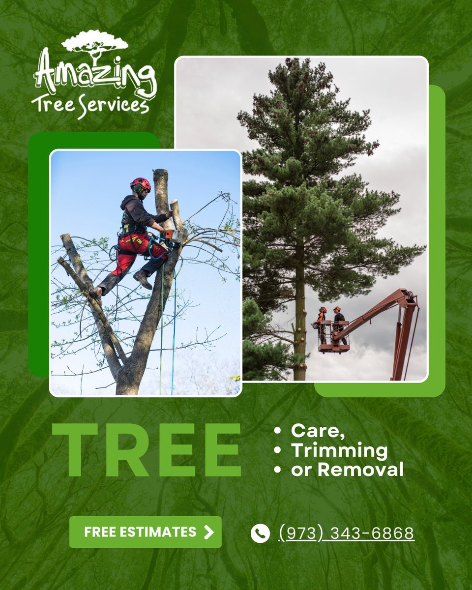 amazingtreesnj's tweet photo. Commercial Tree Service in NJ

Amazing Tree Services delivers reliable tree maintenance removal and storm response for commercial properties. Learn more: https://t.co/7ukVN6MuwZ

#commercialtreeservice #treeservicenj #propertymaintenance #amazingtreeservices https://t.co/Nw20tGcmkS