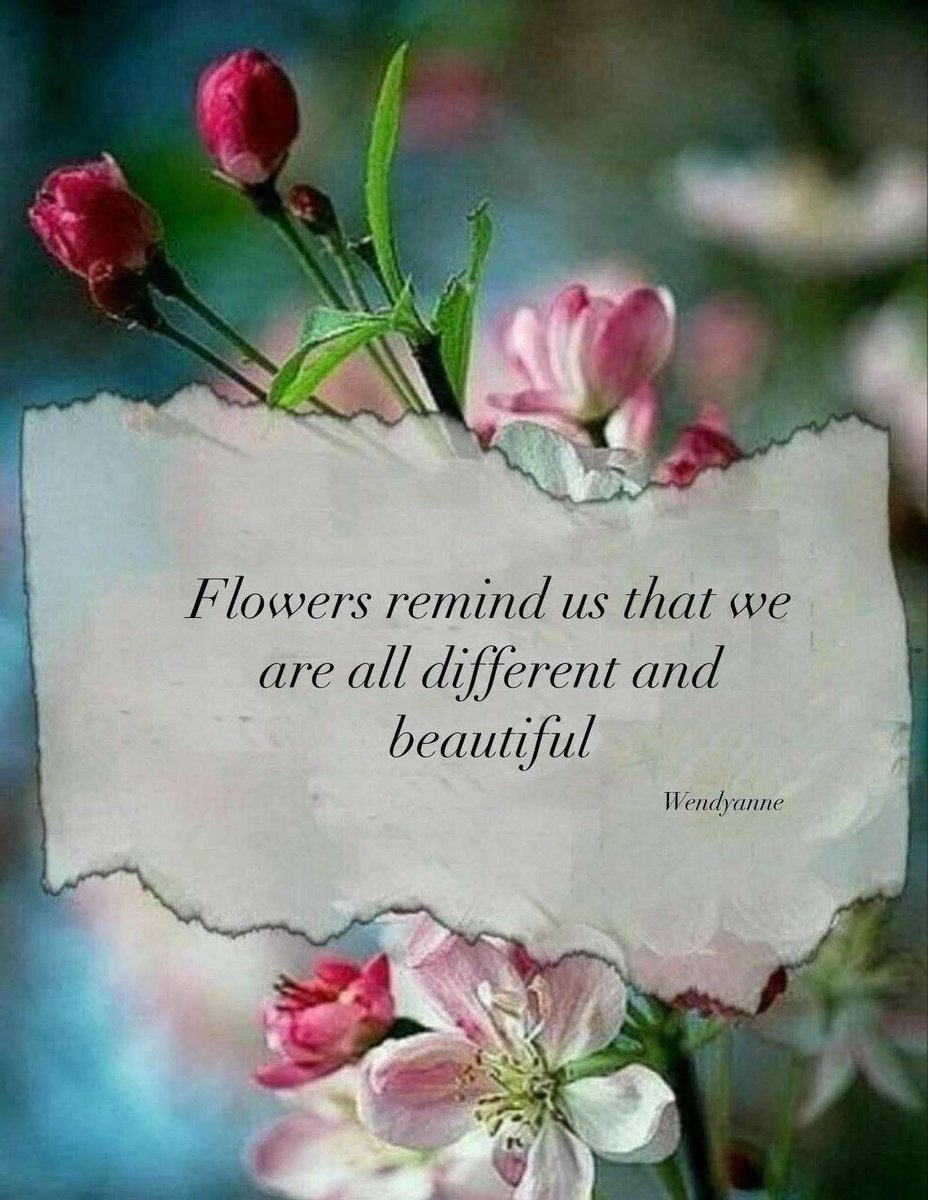 POSITIVITY (@positivitysaid) on Twitter photo 