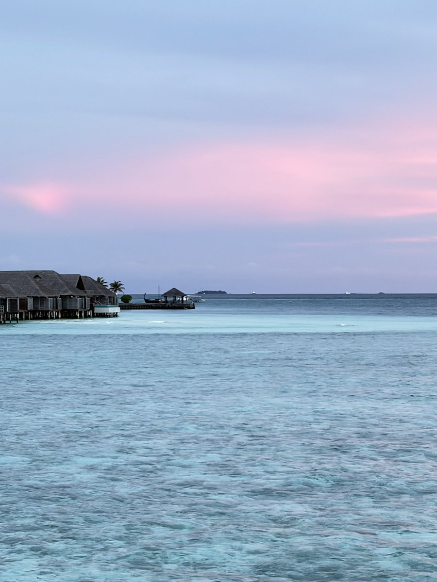 0x奇奇 tweet media