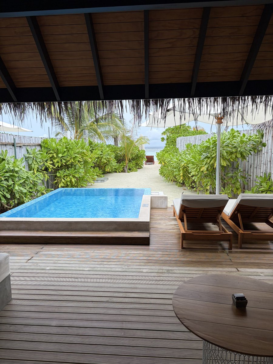 0x奇奇 tweet media