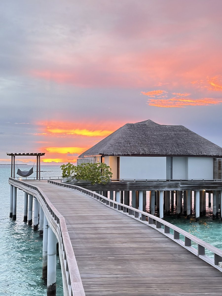 0x奇奇 tweet media