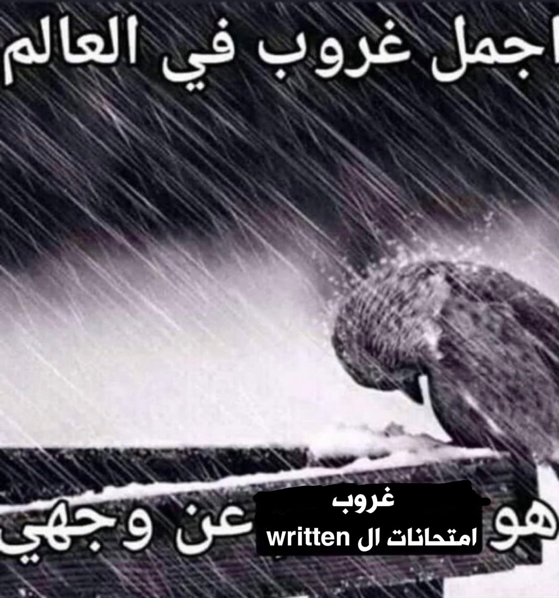 Ahmed Fathy (@fattouuh) on Twitter photo 