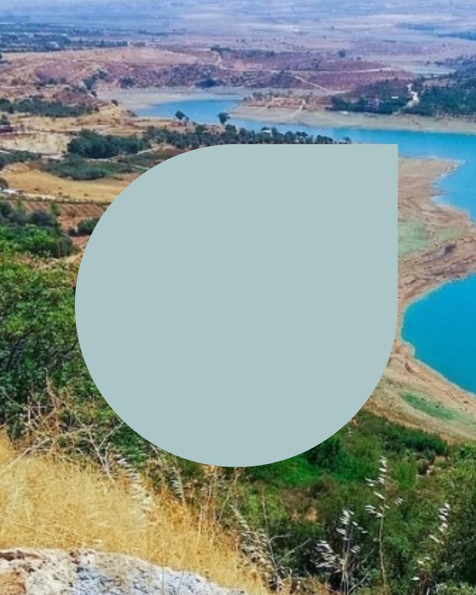 La France au Liban 🇫🇷🇪🇺 tweet media