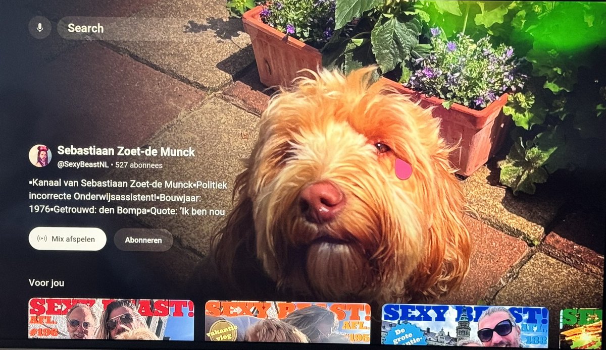 Het is bijna Kerst en daar gaat m’n poëtische bloed van stromen!
Vandaar dit gedicht:

‘Jawel’

Rozen zijn rood!
Met ‘op z’n Grieks’ bedoelt men anaal!
Ik weet niet wat jij allemaal hebt,
maar ik heb mijn eigen Youtubekanaal!

Alstublieft en graag gedaan!

youtube.com/@sexybeastnl?s…