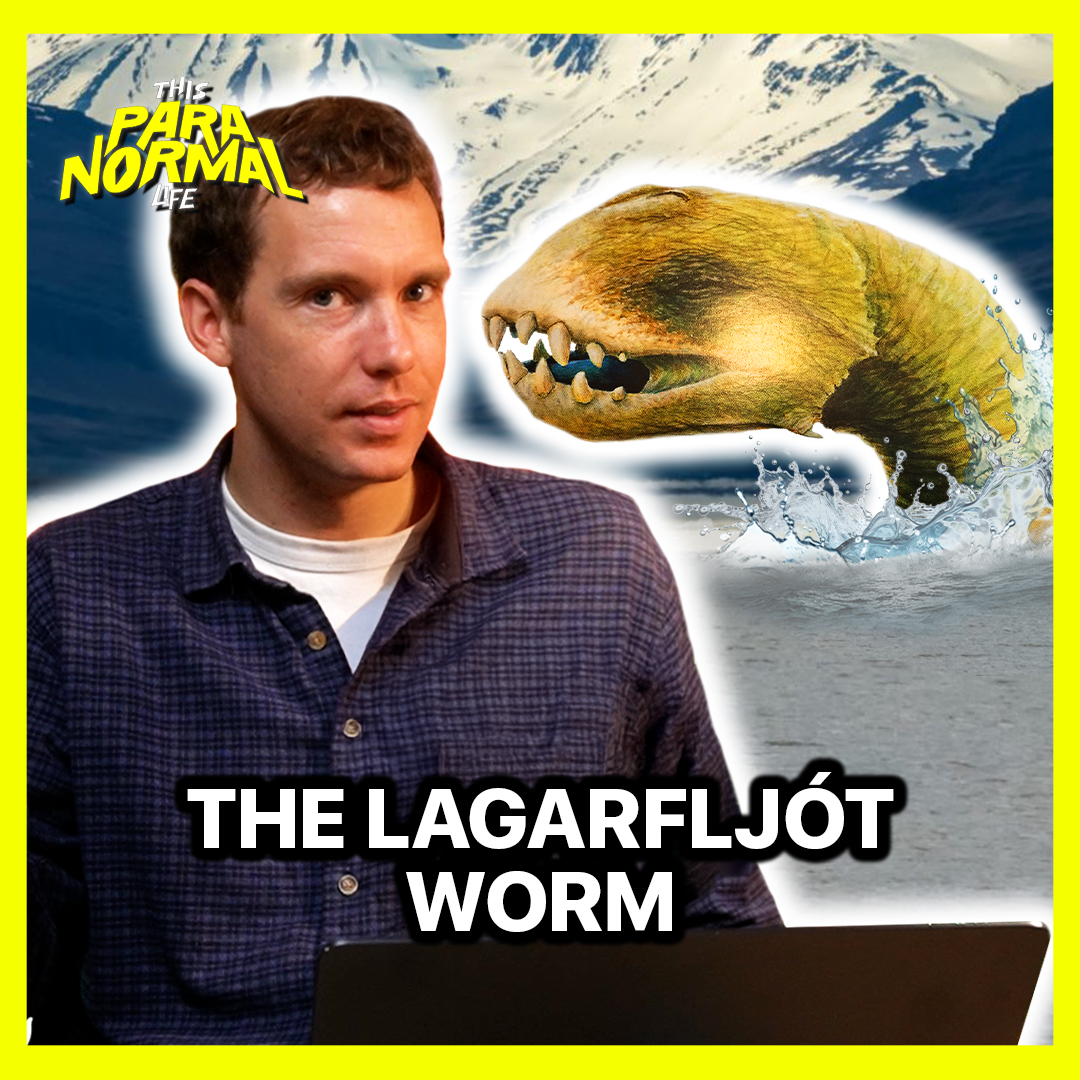 This Paranormal Life tweet media