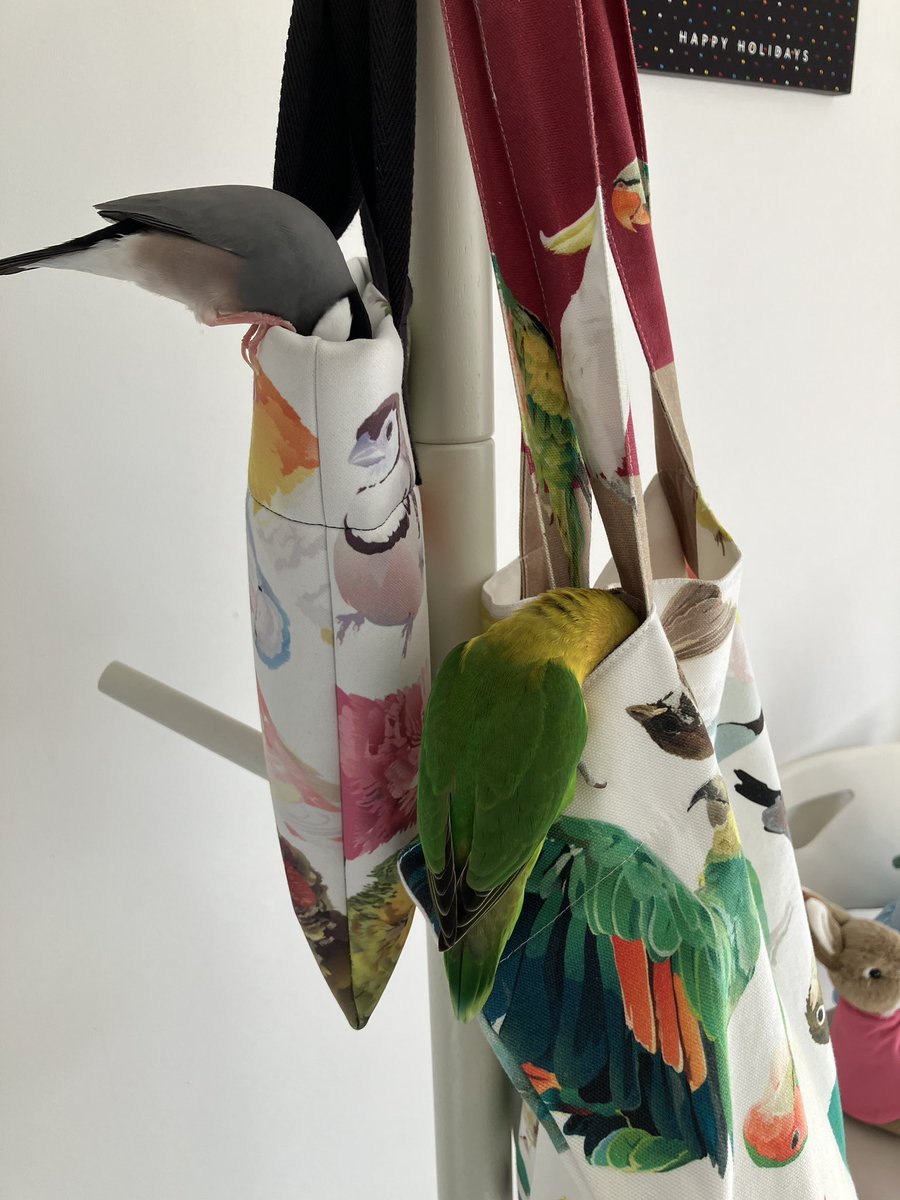 きょうもたのしかったかな？