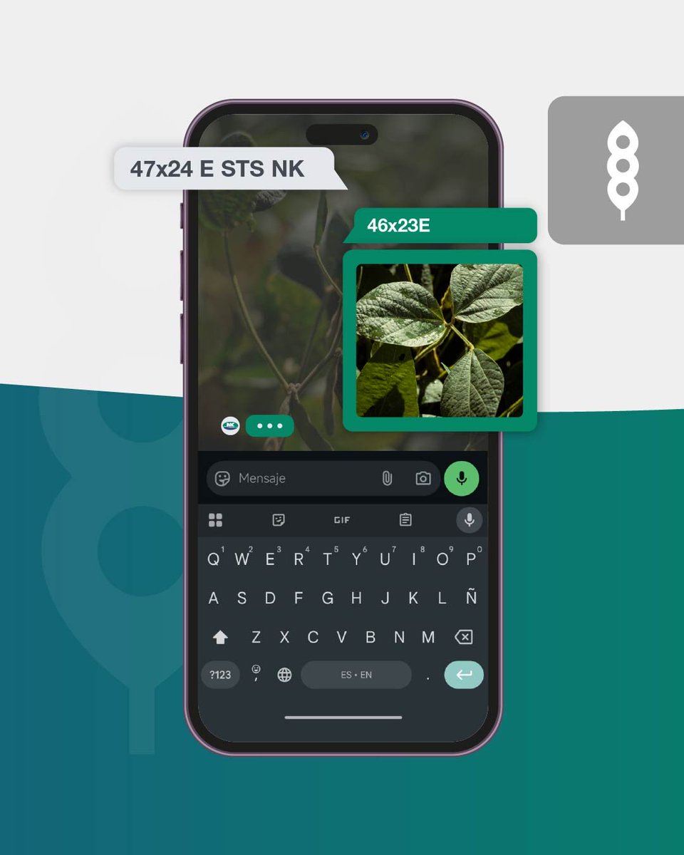 Otro año más acompañando a productores y distribuidores de todo el país, trabajando juntos para impulsar campañas más eficientes y de mayor rendimiento 🔝

🌽🌻 Estos fueron los híbridos y variedades más elegidos en el 2025.

Seguiremos innovando para que con NK, siempre rindas