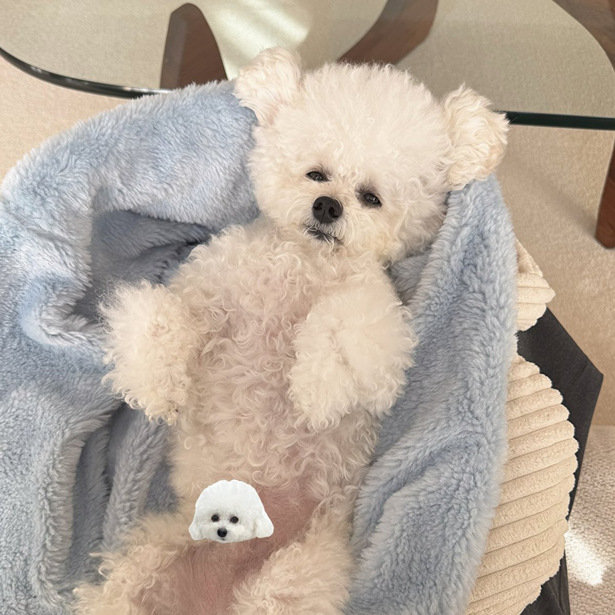 3.yokopi様 y o k o p i 〰 (@_yokopii_) / Posts / X