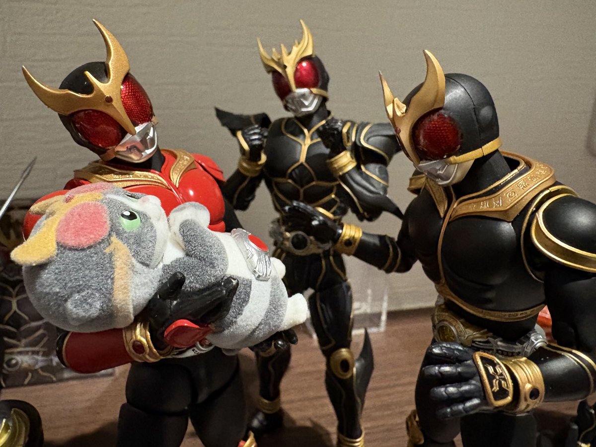 猫を飼い始めました