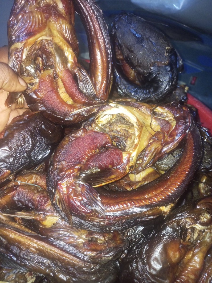 OnizeS's tweet image. Need a tasty, clean and naturally processed fish? Search no further. Call now. 08038172359