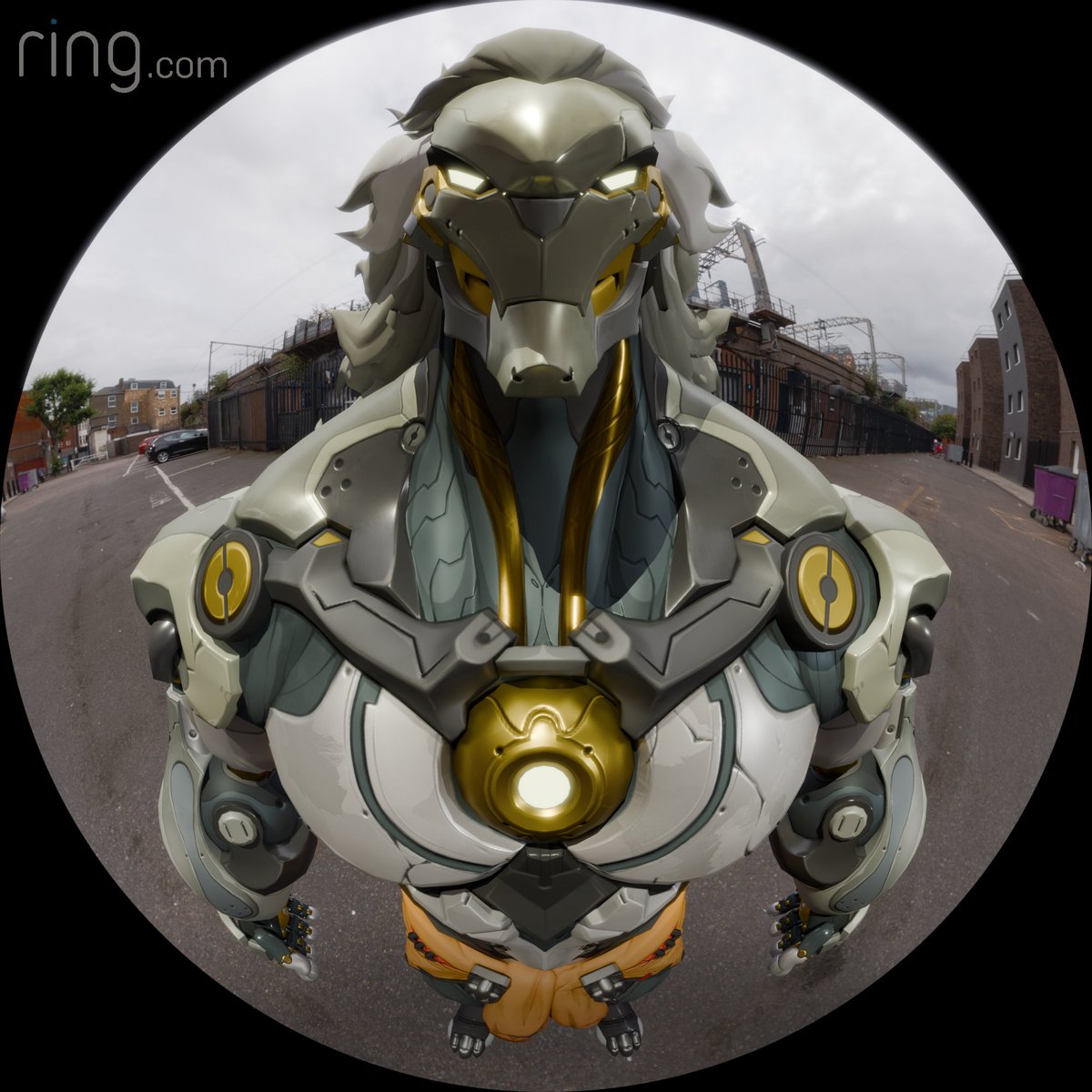 ZenlessWorld's tweet image. POV: Stray cat waiting for you to pull

Cre: Able_Tadpole_3103

#ZenlessZoneZero #ゼンゼロ #ZZZ