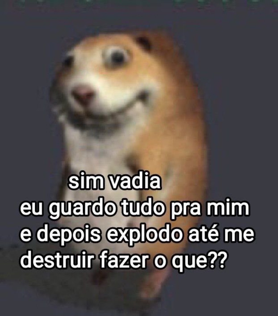 safadenha ✪ (@ousafadenha) on Twitter photo 