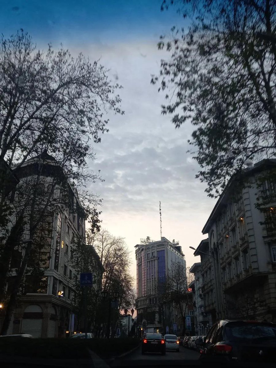 واقعا هیچوقت از وایبی که گلسارِ #رشت میده خسته نمیشم :)🌧🤍