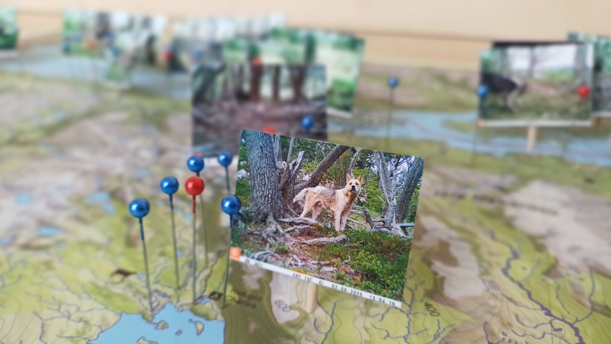 Centro Internacional Cabo de Hornos (CHIC) tweet media