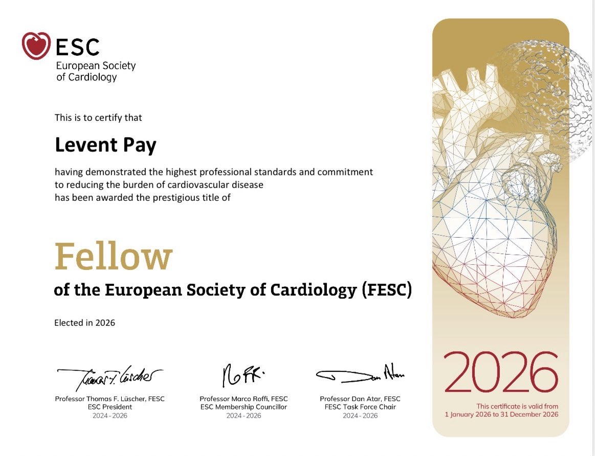 Levent Pay, FESC tweet media