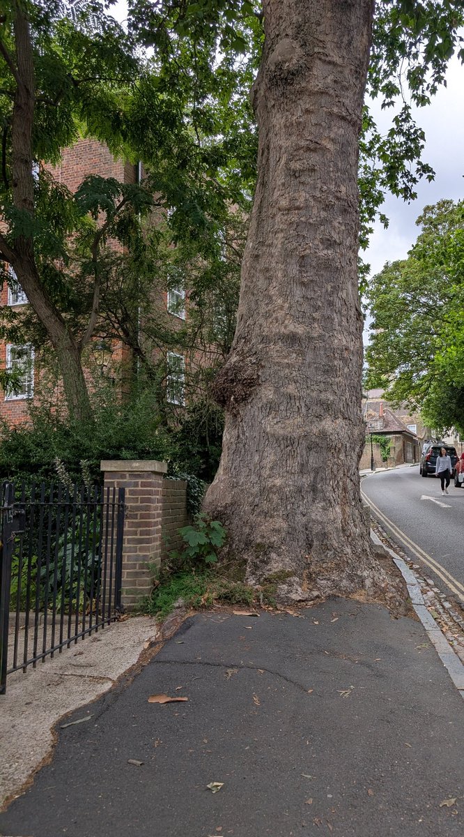 Eli Ezeugoh tweet media