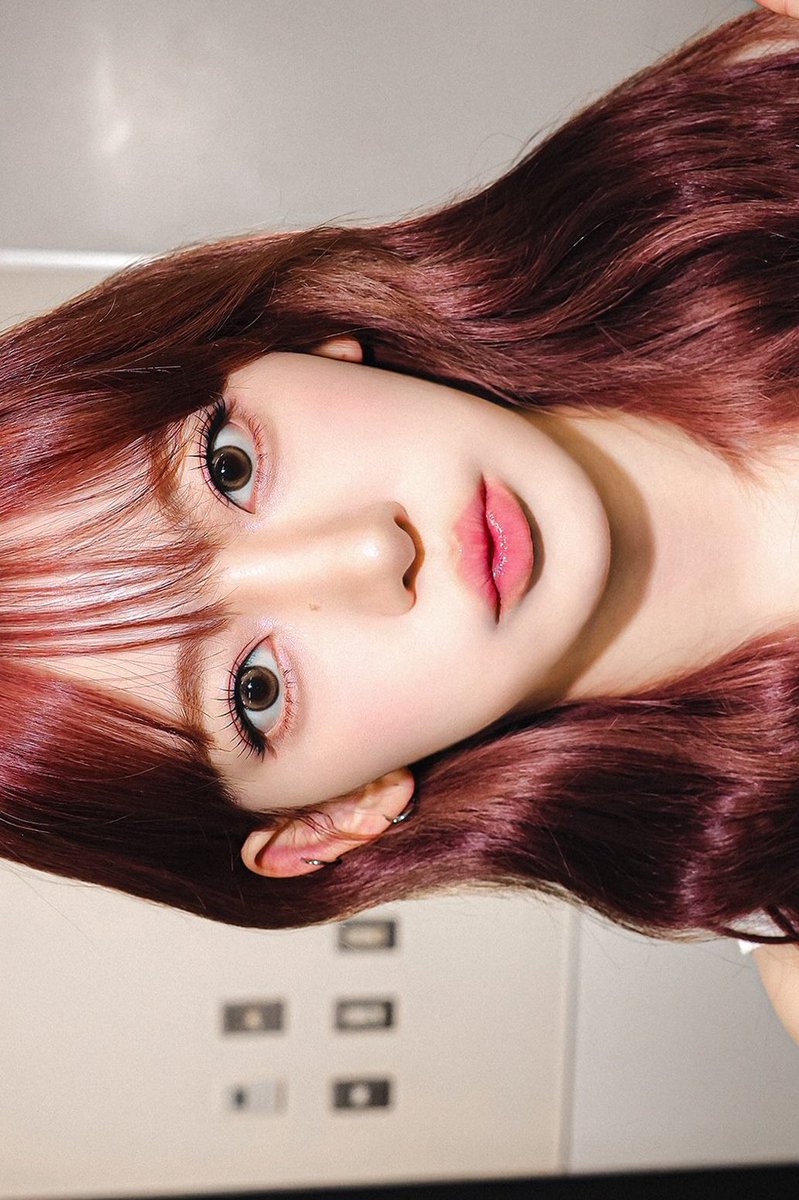 sakura pics. (@39biooms) on Twitter photo 