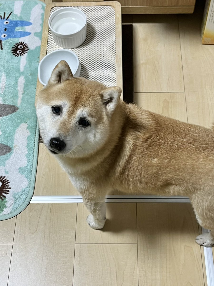 Aoao (@Aoao1Neon) / Posts / X