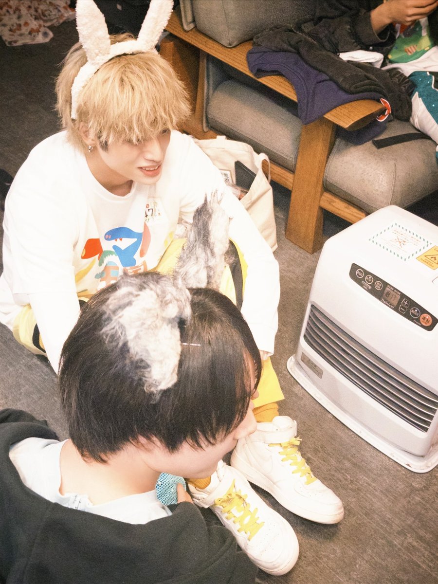 かにゃ (@kanya317) / Posts / X