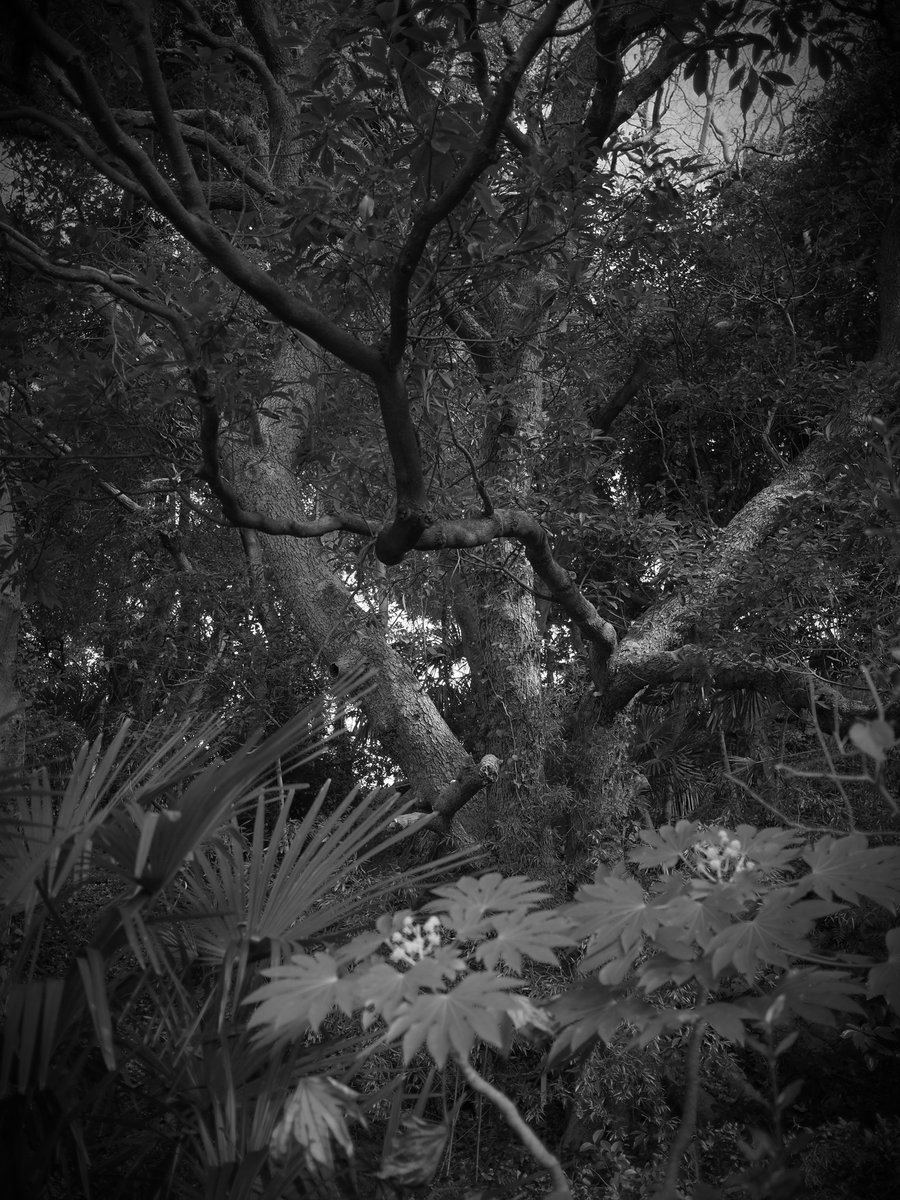 20612sete's tweet photo. #lightandshadow #landscapephotography https://t.co/KAPU85HpuG