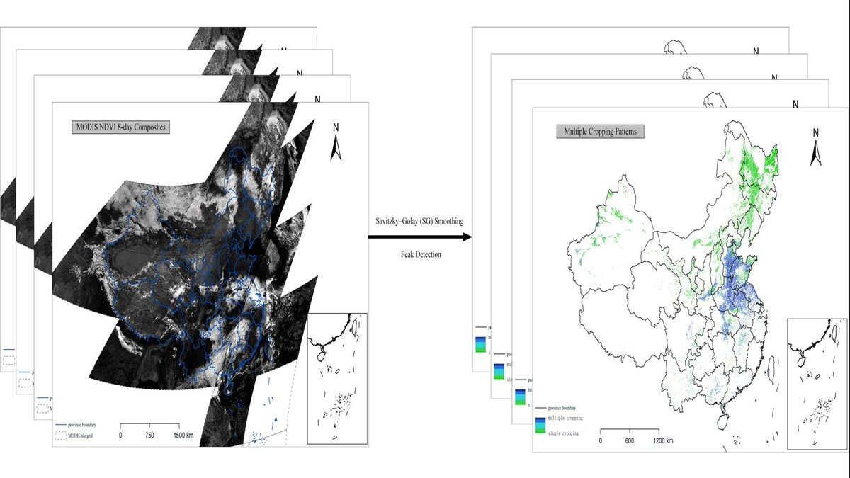 RemoteSens_MDPI's tweet image. 🌾🌽 Annual #Cropping Intensity #Dynamics in #China from 2001 to 2023

✍️ Jie Ren et al.
🔗 brnw.ch/21wYsOY