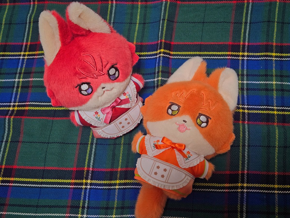 이건 진짜 반칙 아닙니까... 너무..심각하게 귀엽지않습니까..... 이건..