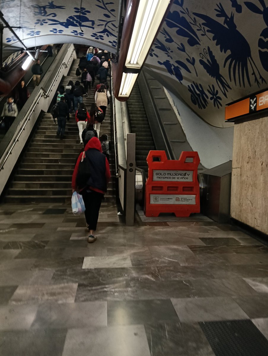 LeonDias2018's tweet photo. Barranca del muerto dirección el Rosario ¿Cuántos días más sin funcionar? @MetroCDMX https://t.co/4HKKThjVje
