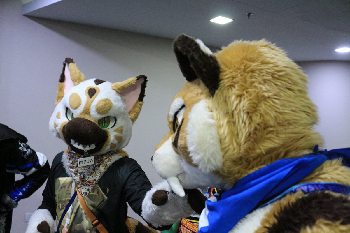 是政　KOREMASA tweet media